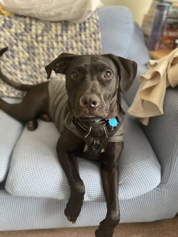 Monty
