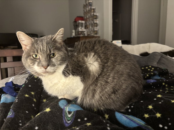 Firefly (& Gideon) bonded