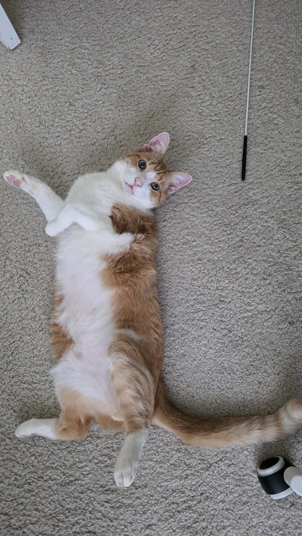Coco