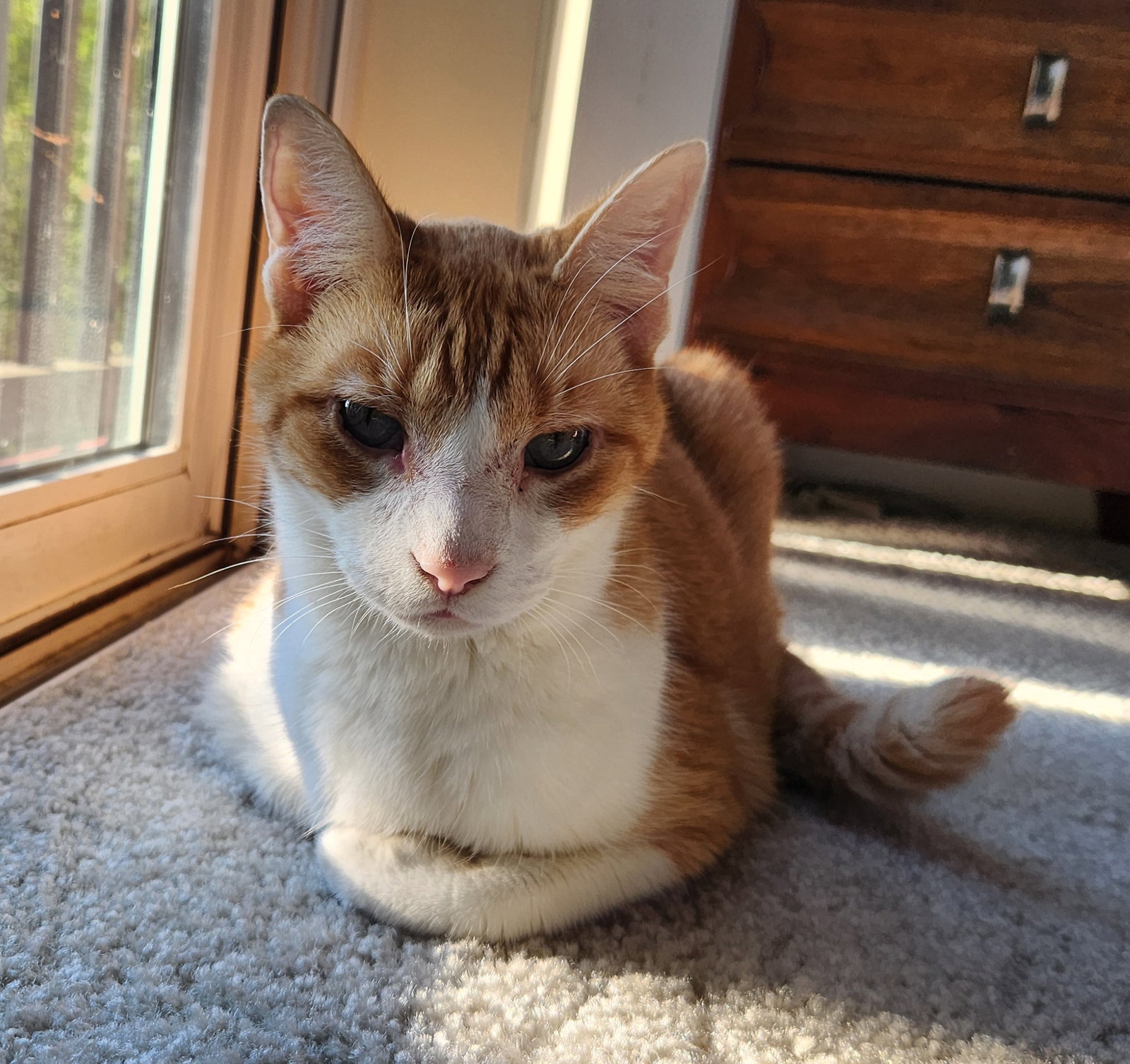 Coco