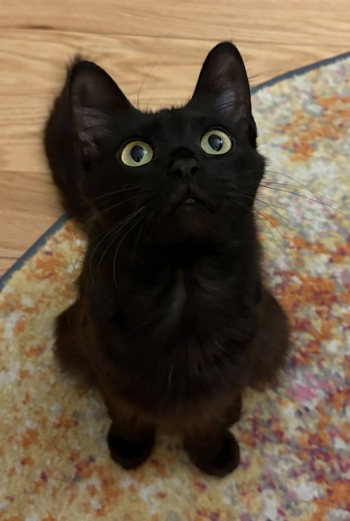 Salem