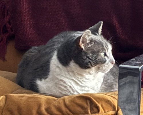 Athena