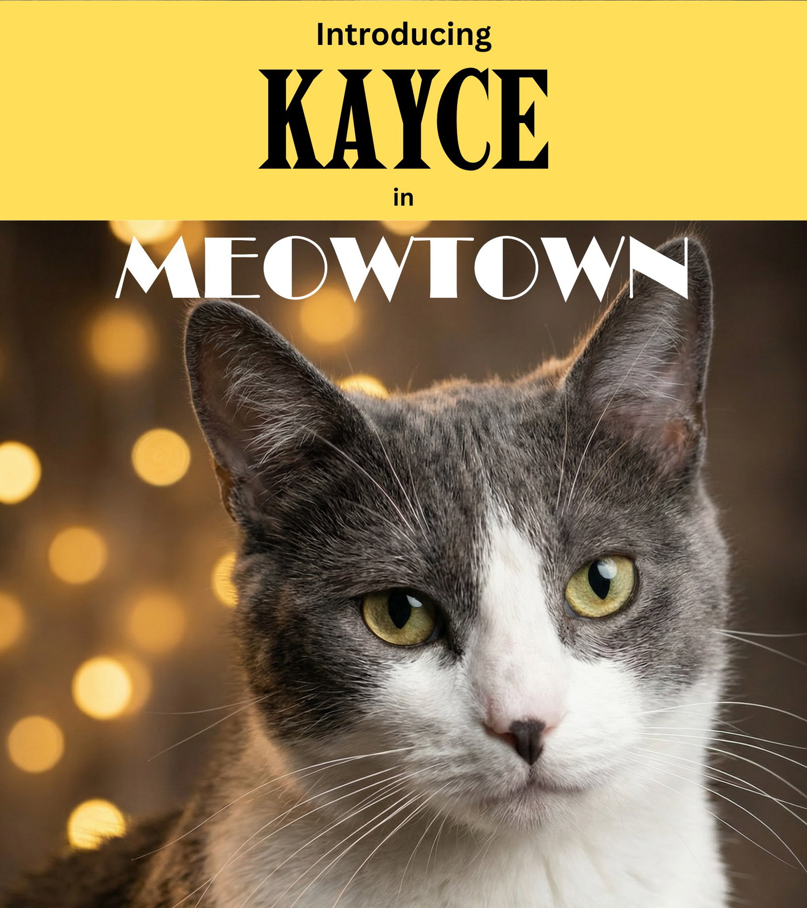 Kayce, cat