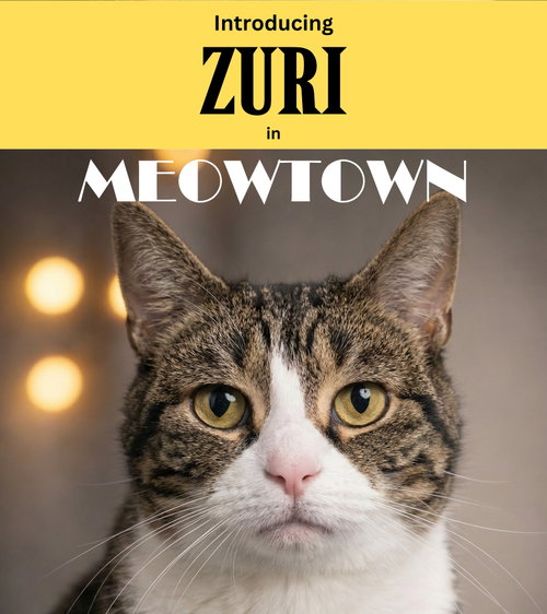 Zuri, Adult Domestic Short Hair (short coat), cat for adoption in Herndon, Virginia