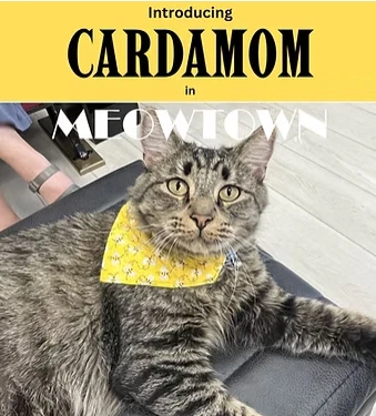 Cardamom