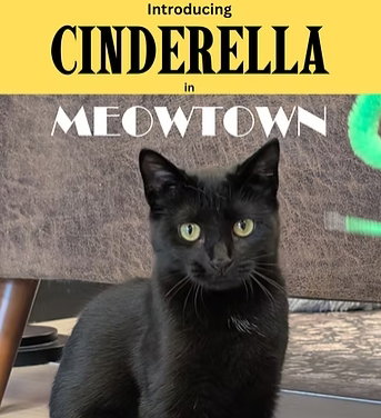Cinderella, cat