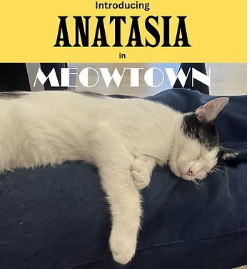 Anastasia - MT, cat