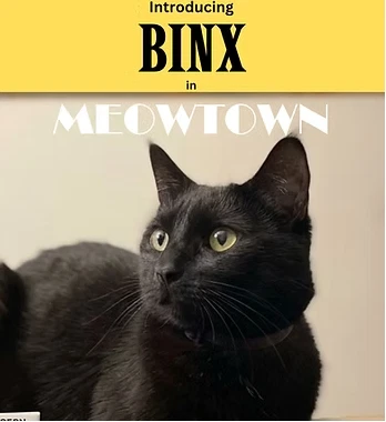 Binx Mt