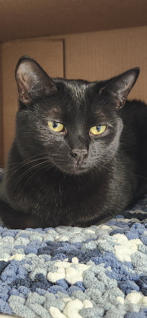 Photo 2 of Binx MT