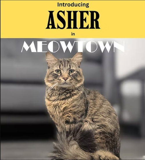 Asher & Peter *BONDED*