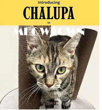 Chalupa