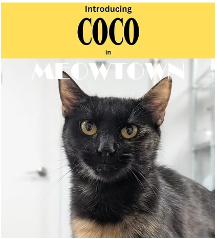 Coco