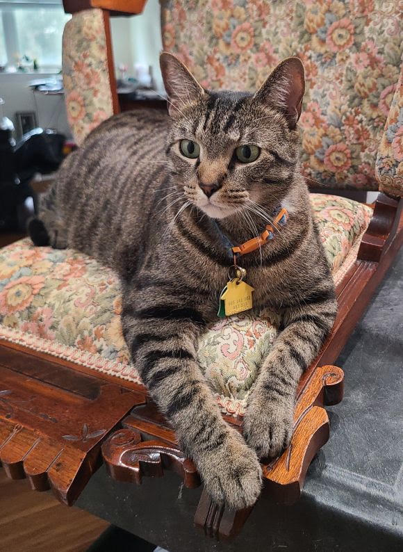 Tito