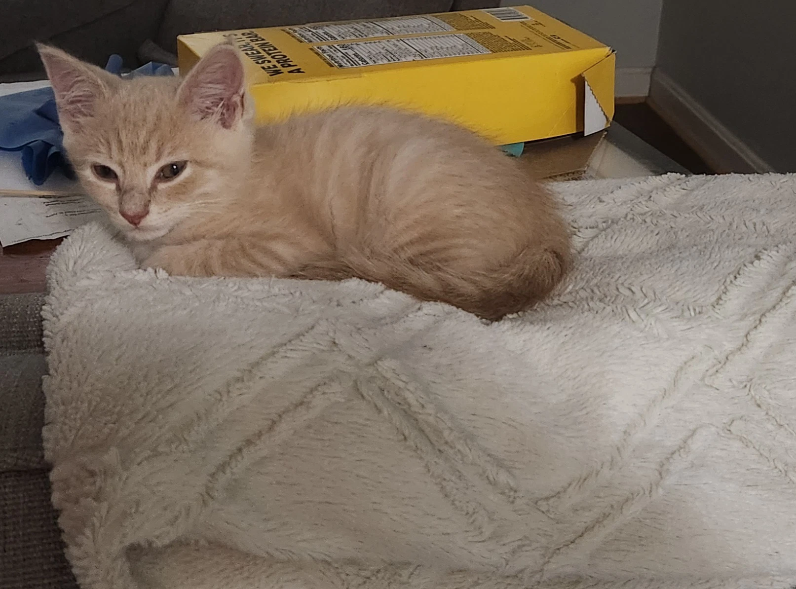 Leo