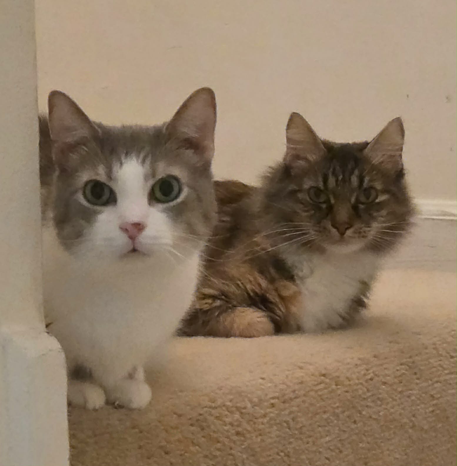 Edward  Eleanor Bonded