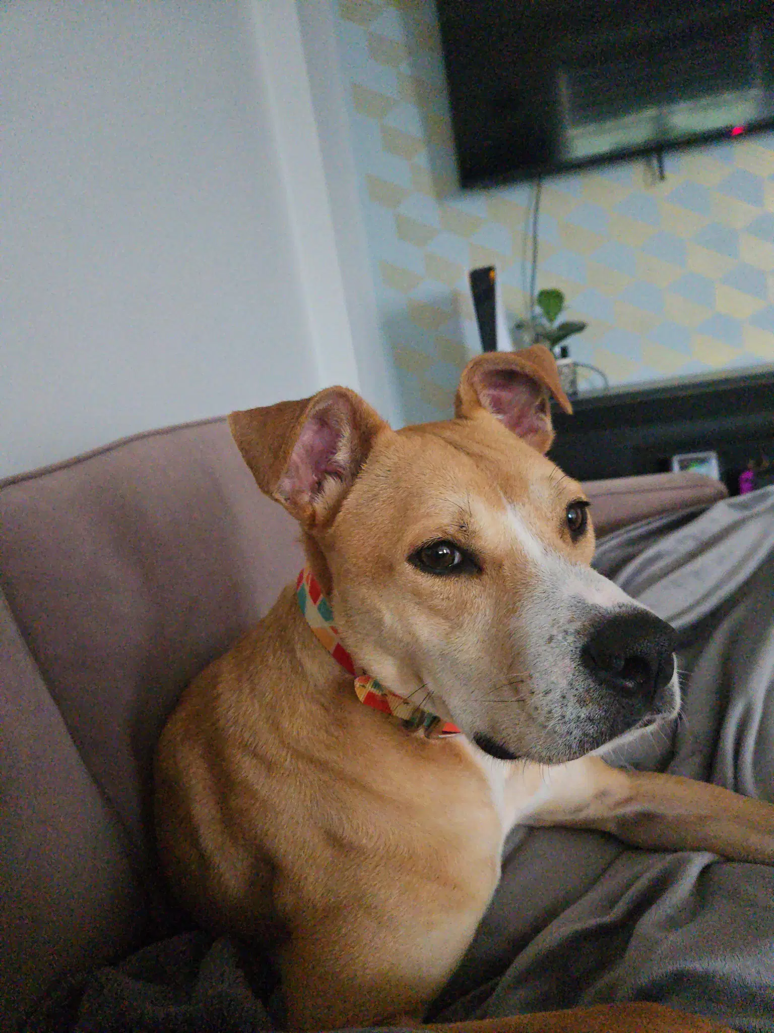 Luca image 4