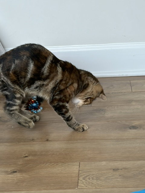 Photo 2 of Beryl