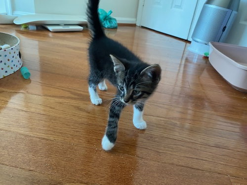 Photo 4 of Chance