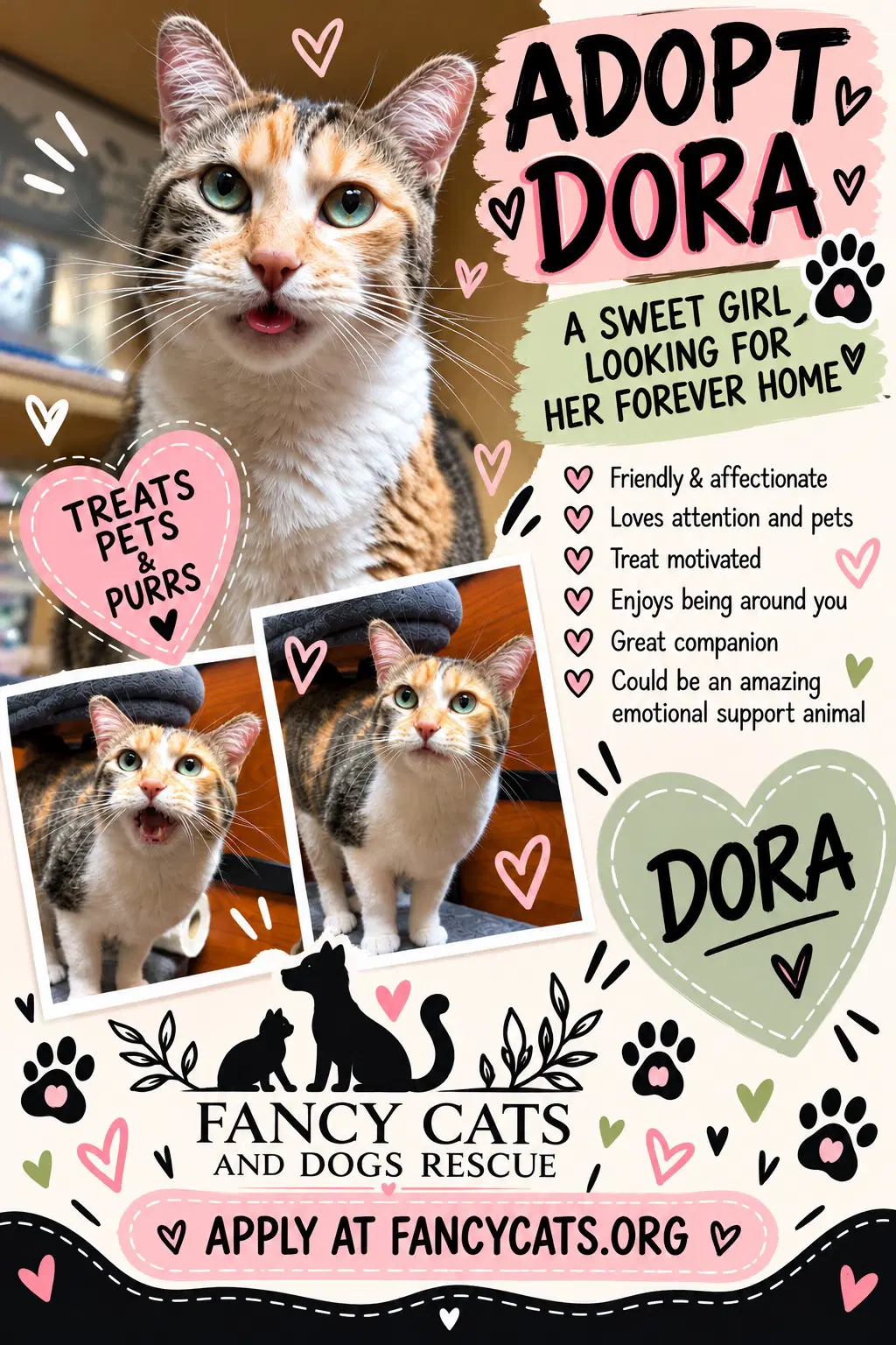 Dora image 3