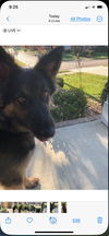Kira (CL)