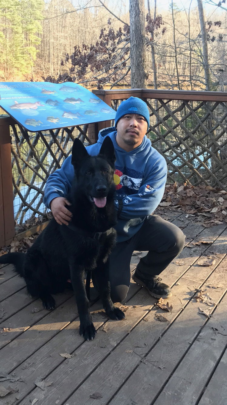 adoptable Dog in Durham, NC named Shadow (CL)