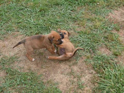 Bonnie and Clyde(CL)