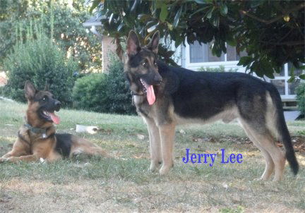 Jerry Lee