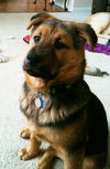Benny