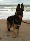 Gunner