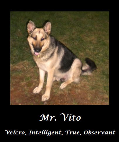 Vito