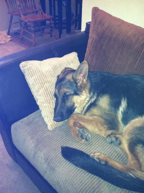 Brutus(CL)