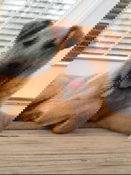 Sam