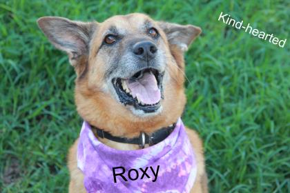 Roxy(CL)