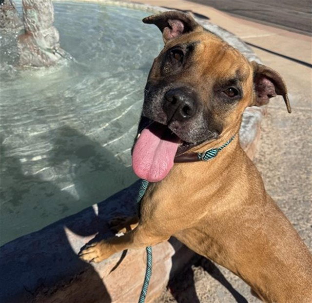 ROCKO Image