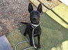 ROSETTE - Photo 1