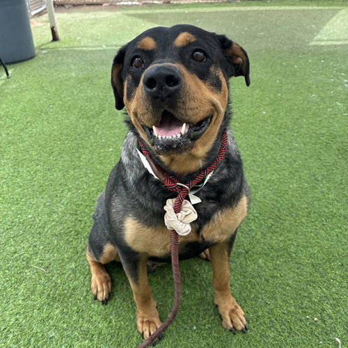 Nana
