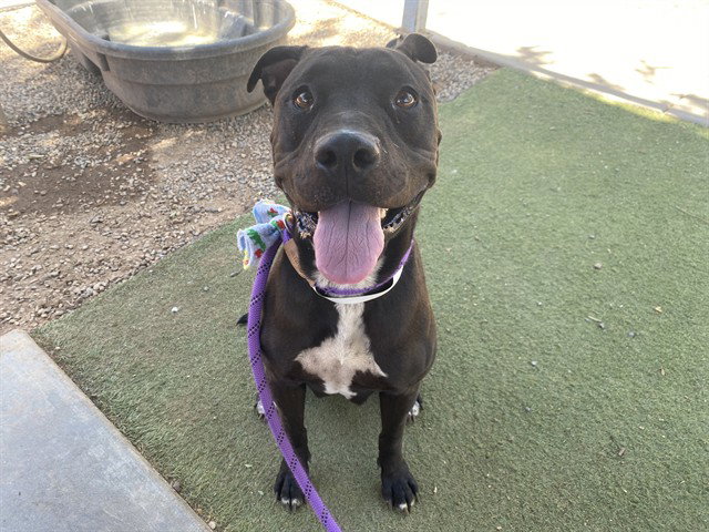 ROXY
