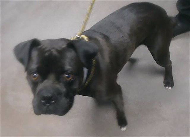 CHANCE