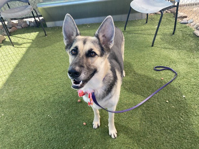 Minnie