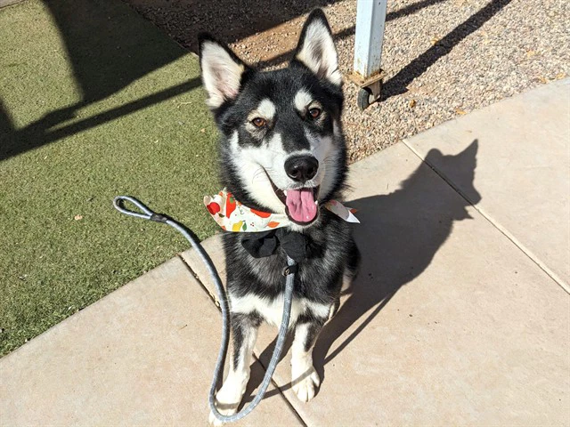 Sebastian
