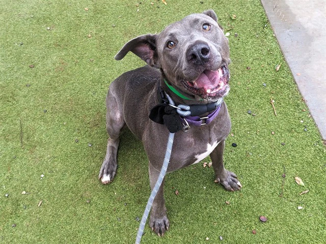 Sterling