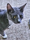 Willie - Photo 2