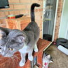 Willie - Photo 3
