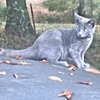 Windy - Photo 3