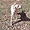 Cletus - Photo 3