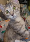 Lorna - Photo 2