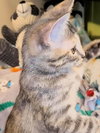 Lorna - Photo 3