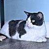 Wink - Photo 3