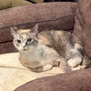 Mom - Photo 2