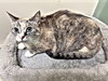 Mom - Photo 3
